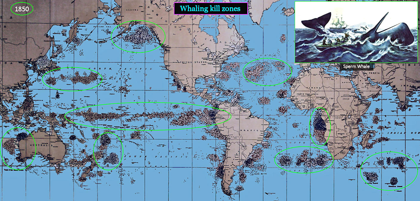 Whaling kill map, 1800s
